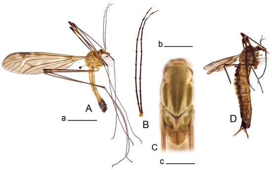 Insects 14 00616 g018