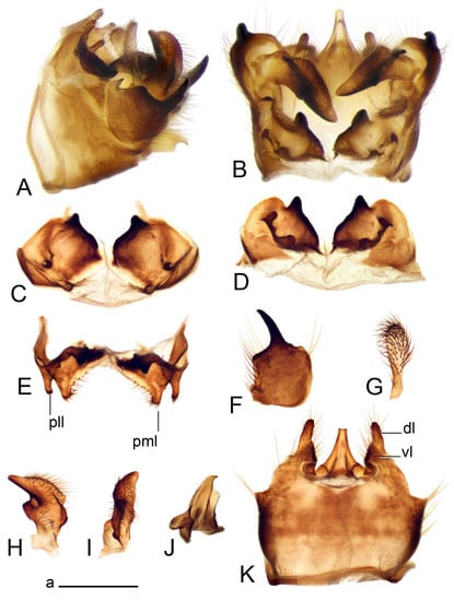 Insects 14 00616 g019