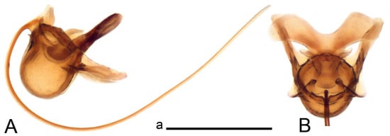 Insects 14 00616 g020