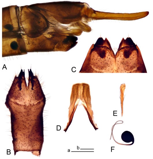 Insects 14 00616 g021