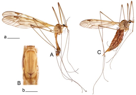 Insects 14 00616 g022