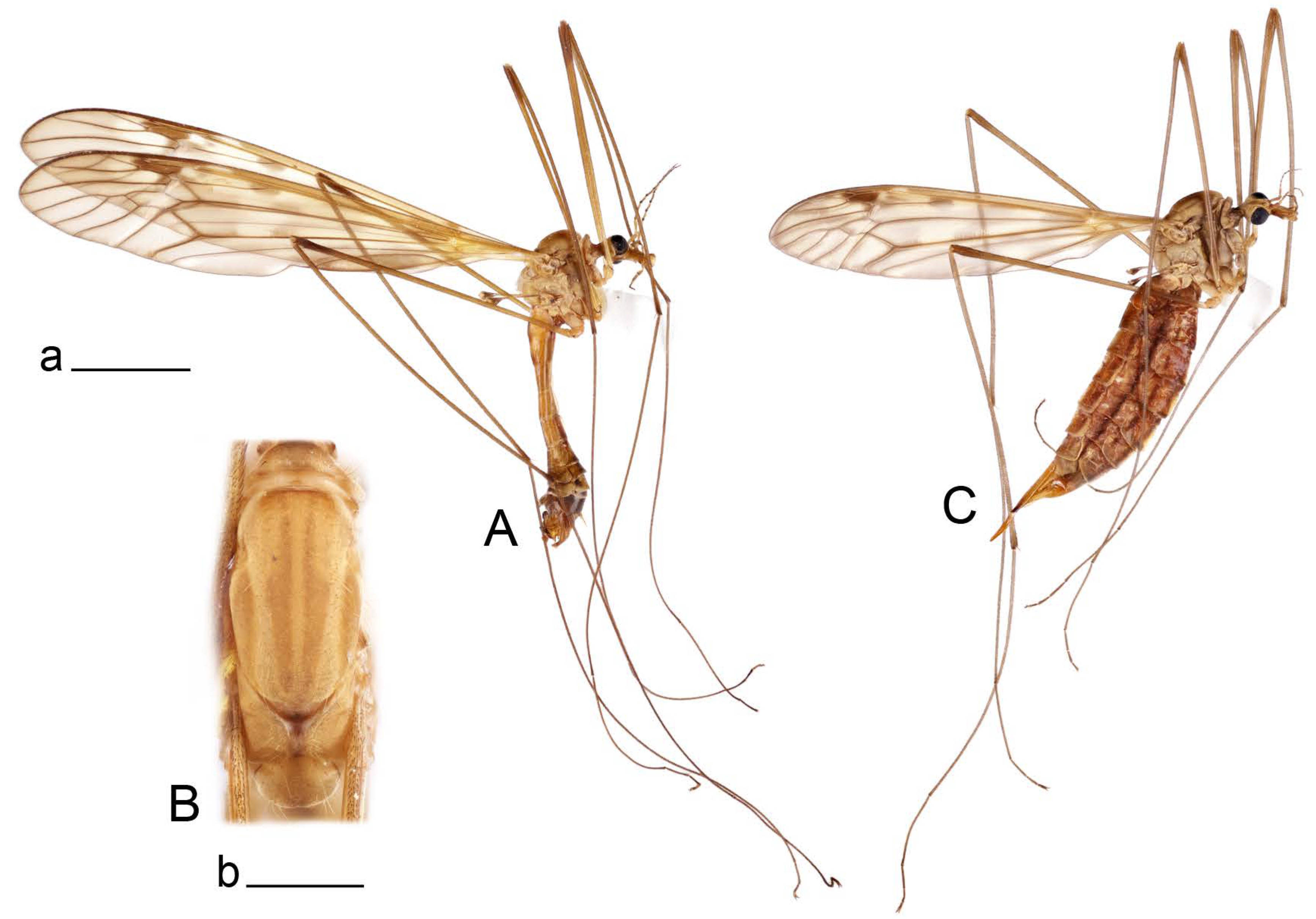 Insects 14 00616 g022