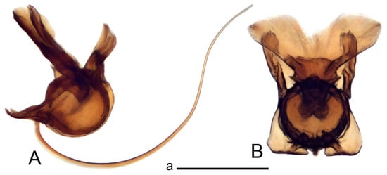 Insects 14 00616 g024