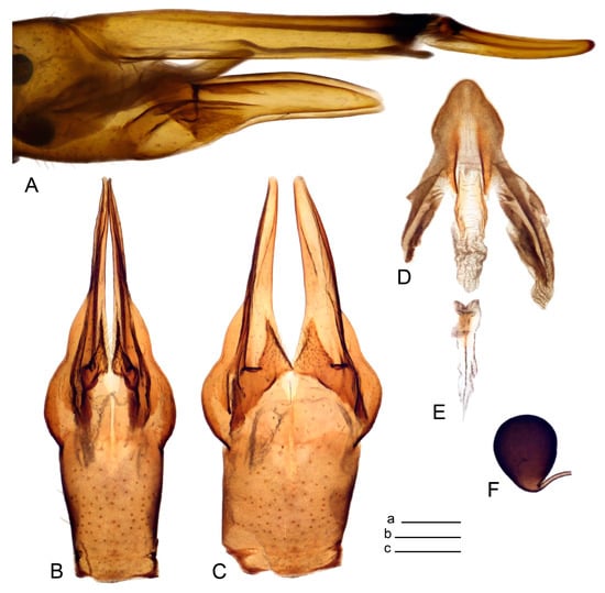 Insects 14 00616 g025