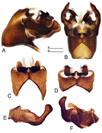 Insects 14 00616 g027