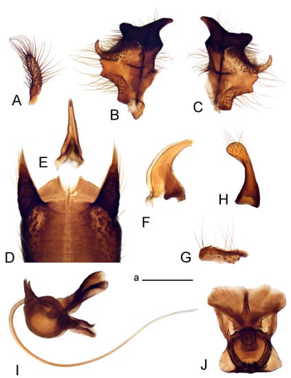 Insects 14 00616 g028