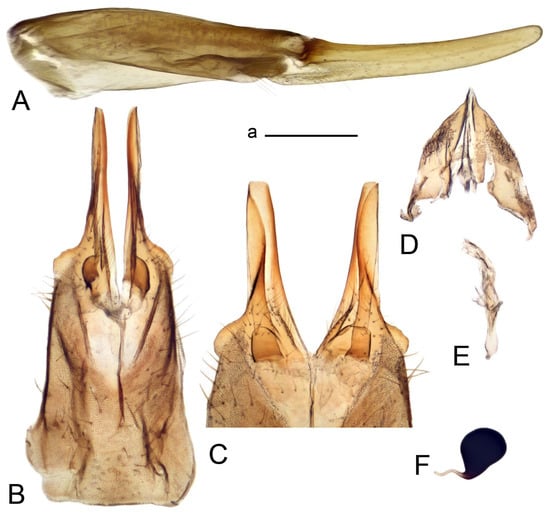 Insects 14 00616 g029