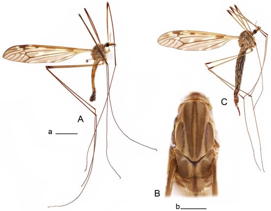 Insects 14 00616 g030