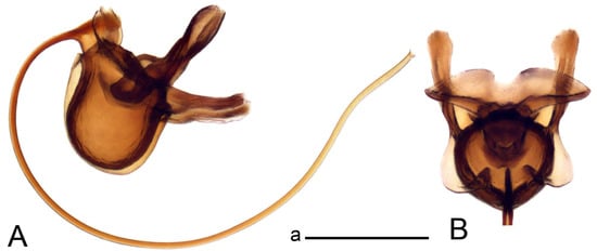 Insects 14 00616 g032