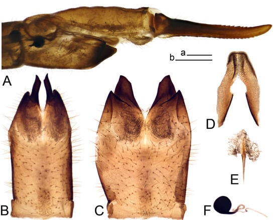 Insects 14 00616 g033