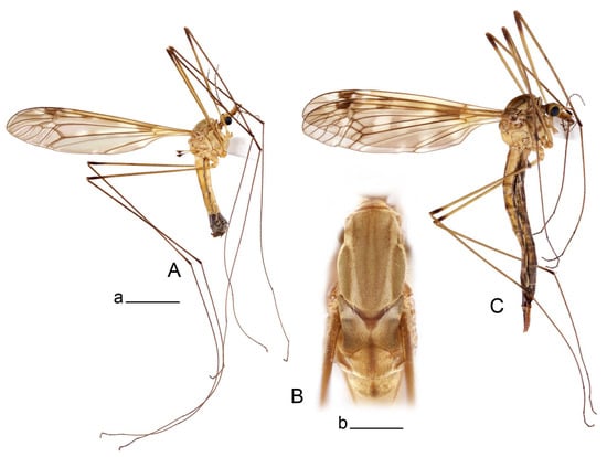 Insects 14 00616 g034