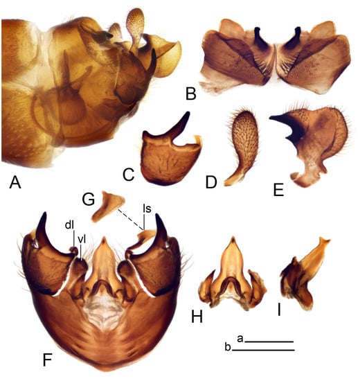 Insects 14 00616 g035