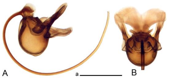 Insects 14 00616 g036