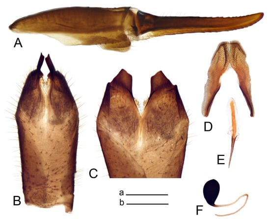 Insects 14 00616 g037