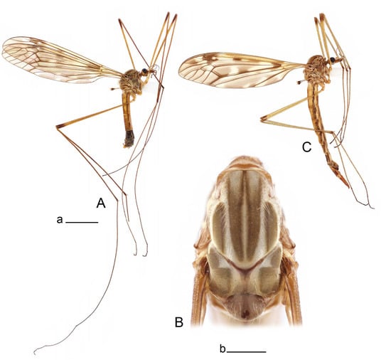 Insects 14 00616 g038