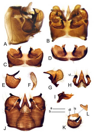 Insects 14 00616 g039