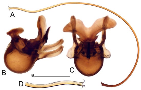 Insects 14 00616 g040