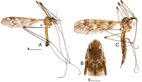 Insects 14 00616 g042