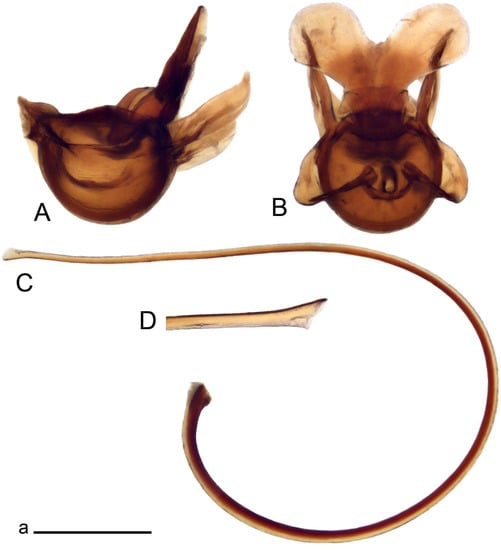 Insects 14 00616 g044