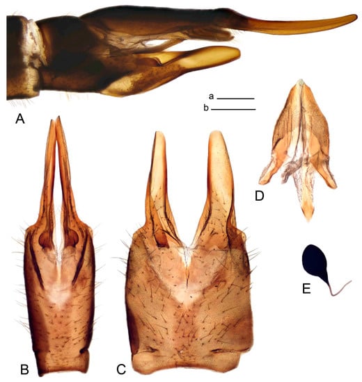 Insects 14 00616 g045