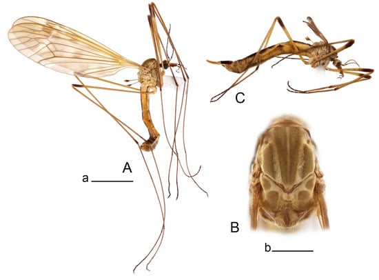 Insects 14 00616 g046