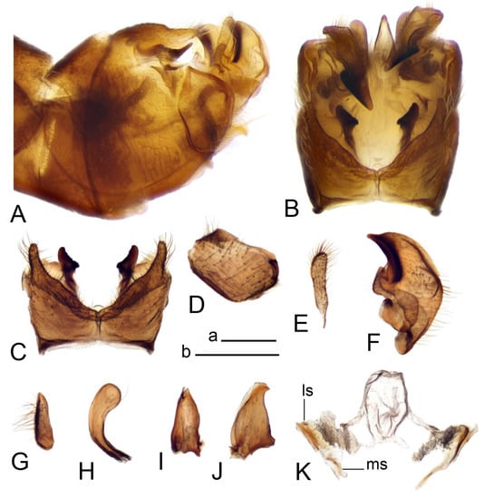Insects 14 00616 g047