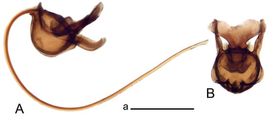 Insects 14 00616 g048