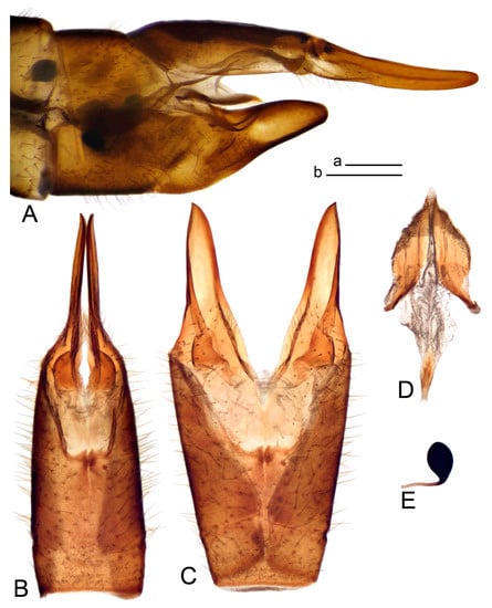 Insects 14 00616 g049