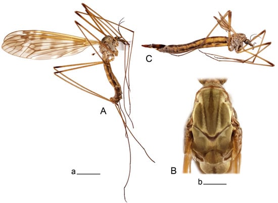 Insects 14 00616 g050