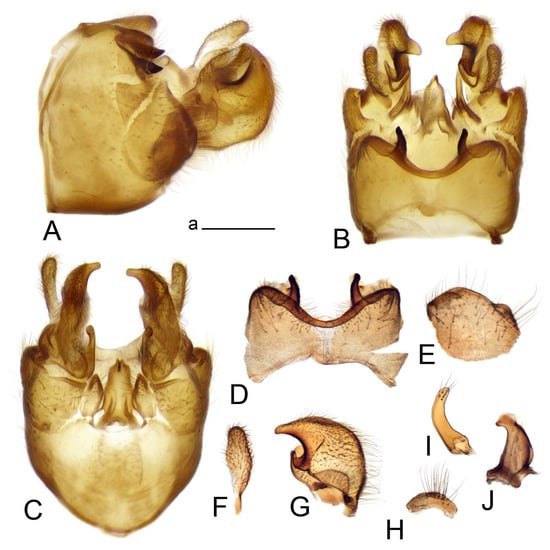 Insects 14 00616 g051