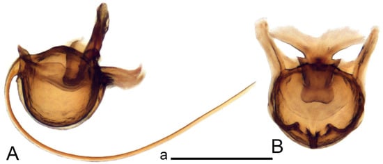 Insects 14 00616 g052