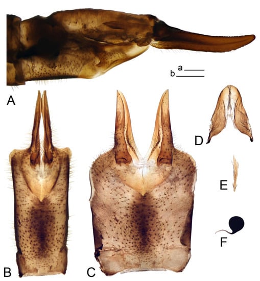 Insects 14 00616 g053