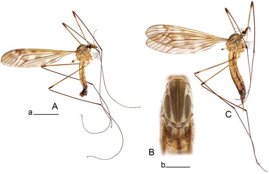 Insects 14 00616 g054