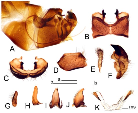 Insects 14 00616 g055