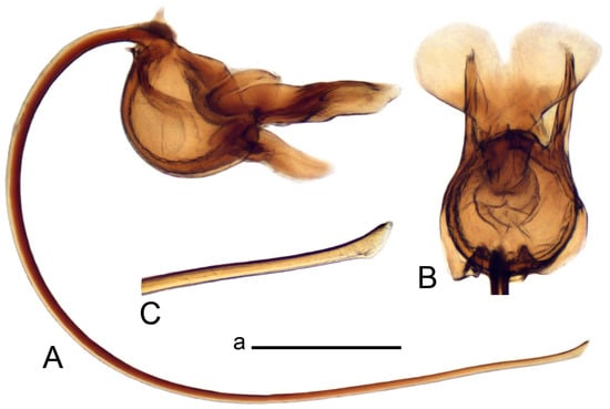 Insects 14 00616 g056
