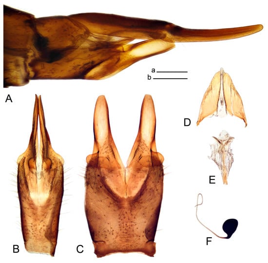 Insects 14 00616 g057