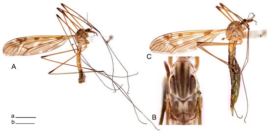 Insects 14 00616 g058