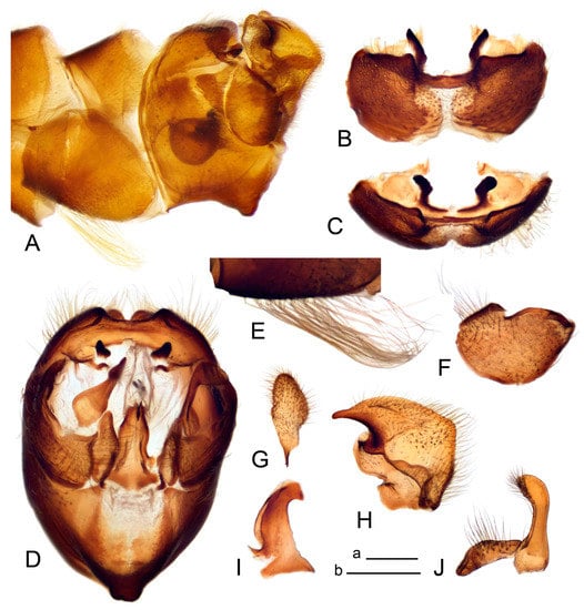Insects 14 00616 g059