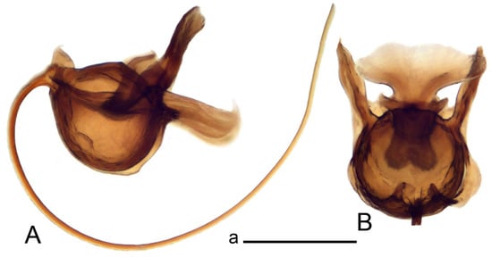 Insects 14 00616 g060