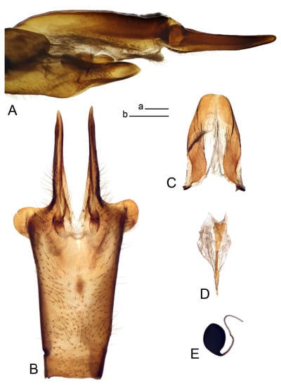 Insects 14 00616 g061