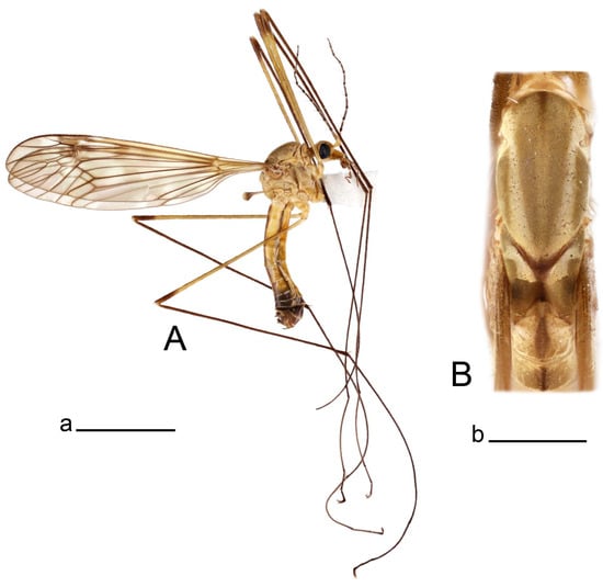 Insects 14 00616 g062