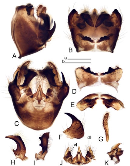 Insects 14 00616 g063