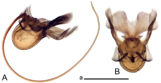 Insects 14 00616 g064