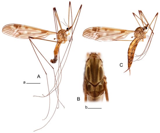 Insects 14 00616 g065