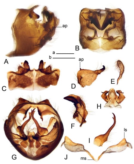 Insects 14 00616 g066