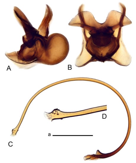 Insects 14 00616 g067