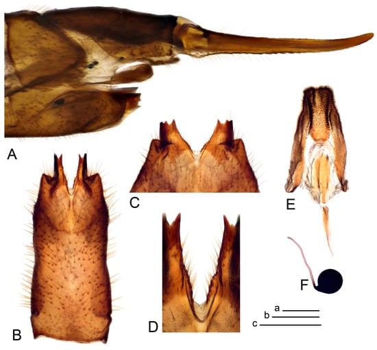 Insects 14 00616 g068