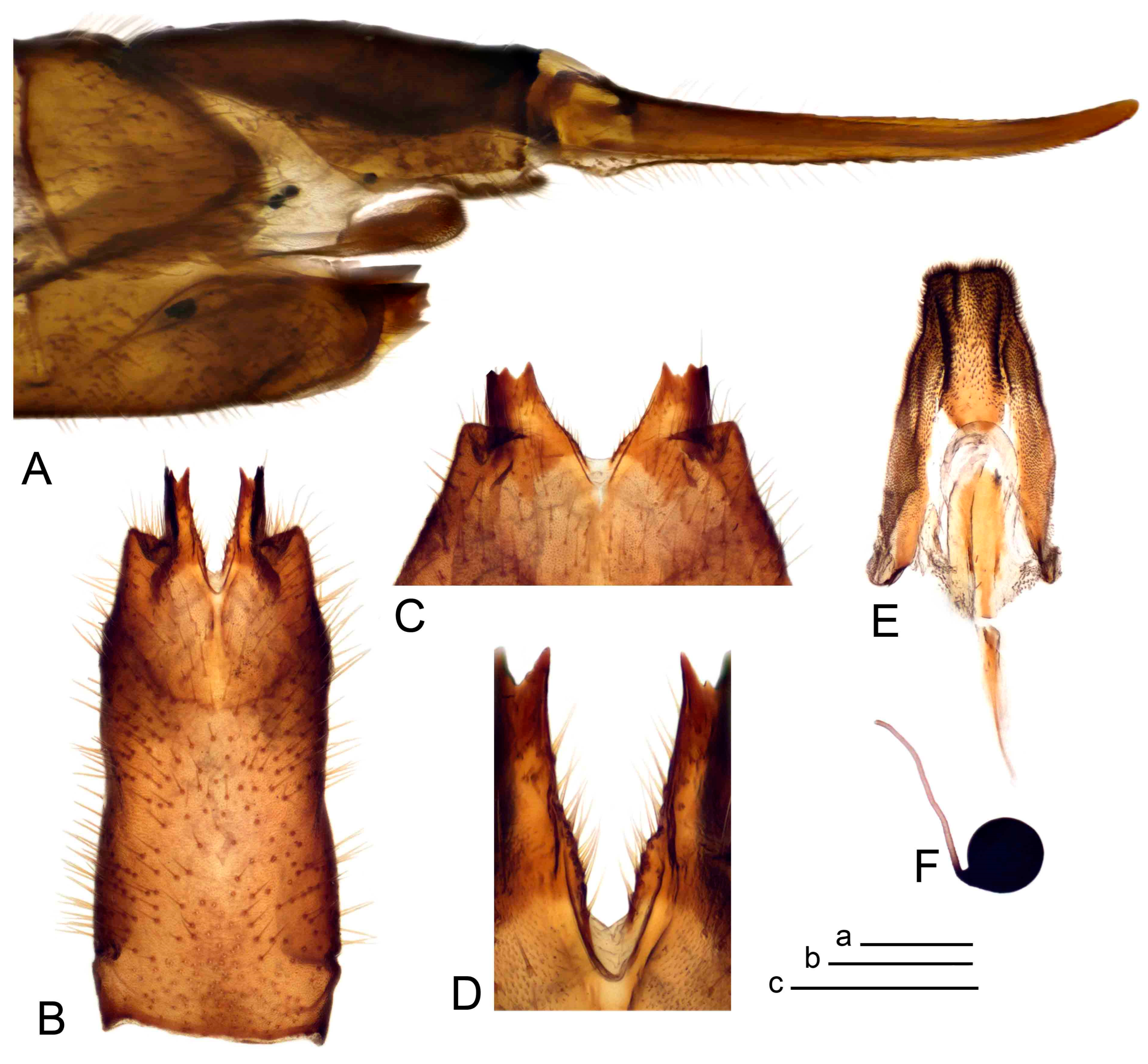 Insects 14 00616 g068