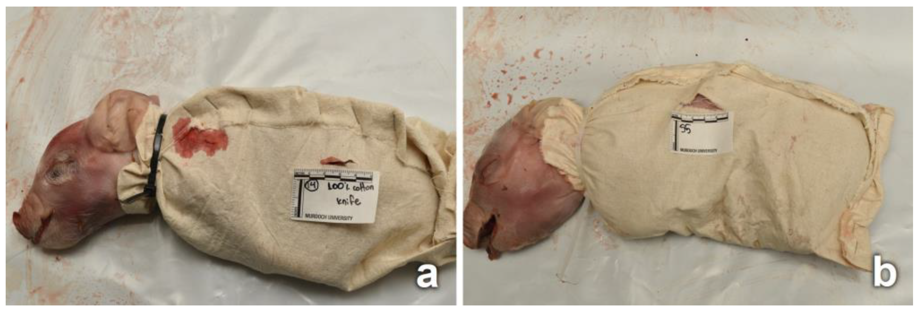 Insects 14 00618 g001