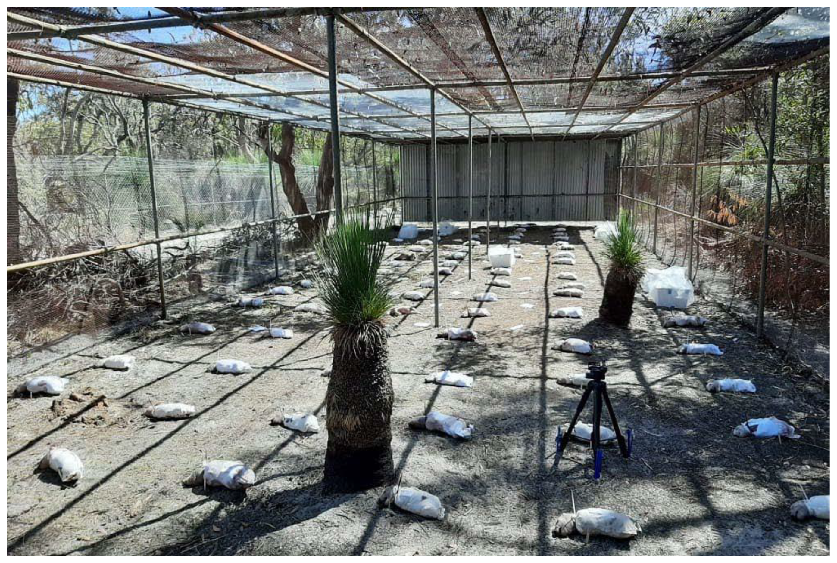 Insects 14 00618 g002